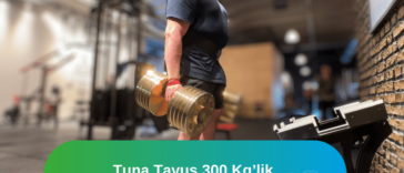 Tuna tavus 300 kg'lik altın ağırlıkları kaldırdı